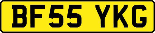 BF55YKG