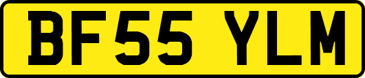 BF55YLM