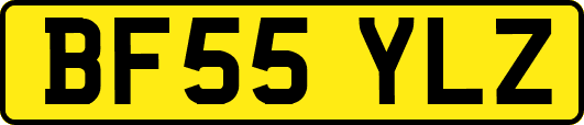 BF55YLZ