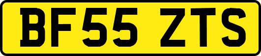 BF55ZTS