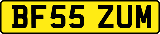 BF55ZUM