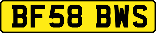 BF58BWS