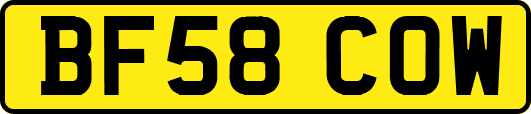 BF58COW