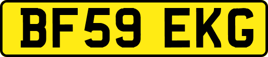 BF59EKG