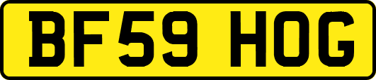 BF59HOG