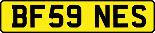 BF59NES
