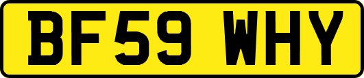 BF59WHY