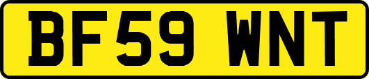 BF59WNT