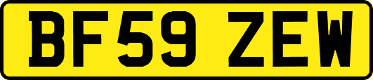 BF59ZEW