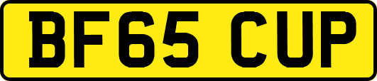 BF65CUP