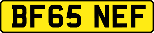 BF65NEF