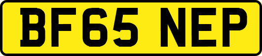 BF65NEP