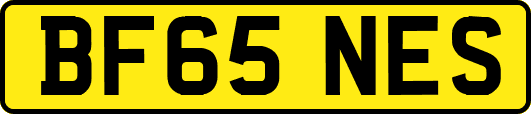 BF65NES