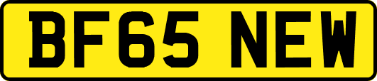 BF65NEW