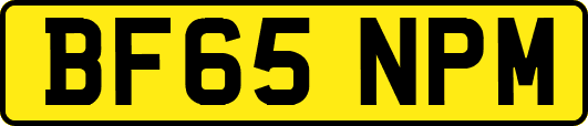BF65NPM