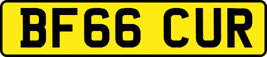 BF66CUR
