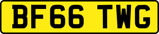 BF66TWG