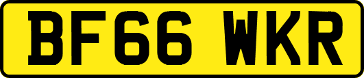 BF66WKR