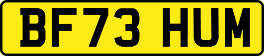BF73HUM
