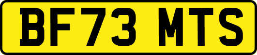 BF73MTS