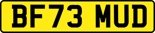 BF73MUD
