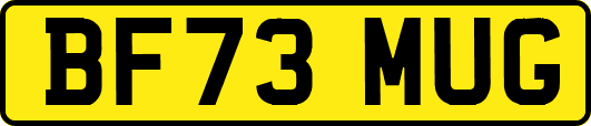 BF73MUG