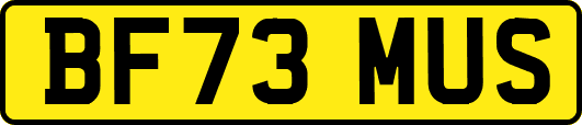 BF73MUS