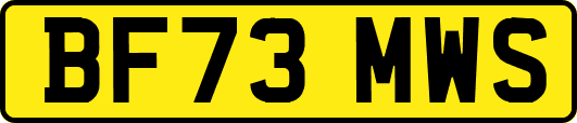BF73MWS