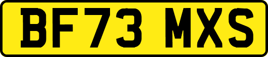 BF73MXS