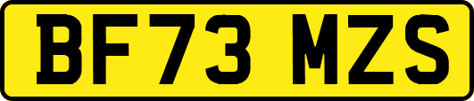 BF73MZS