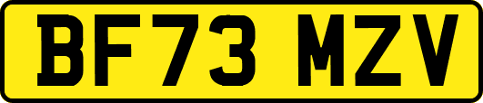 BF73MZV