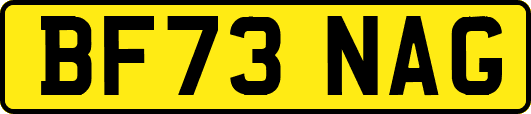 BF73NAG