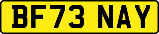 BF73NAY