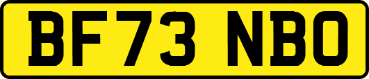 BF73NBO