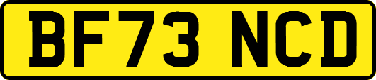 BF73NCD
