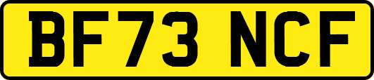 BF73NCF