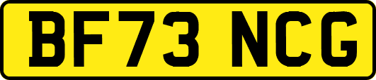 BF73NCG