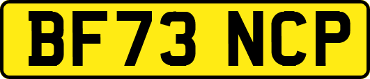 BF73NCP