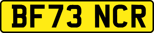 BF73NCR