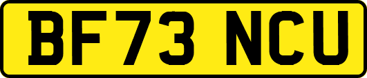 BF73NCU