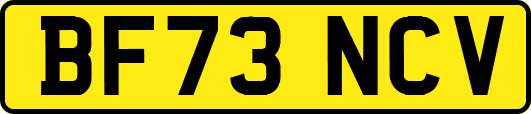 BF73NCV