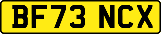 BF73NCX