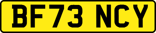 BF73NCY
