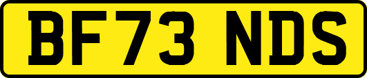 BF73NDS