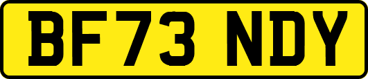 BF73NDY