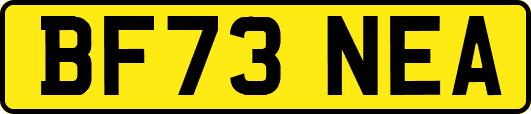 BF73NEA