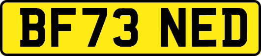 BF73NED