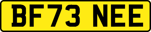 BF73NEE