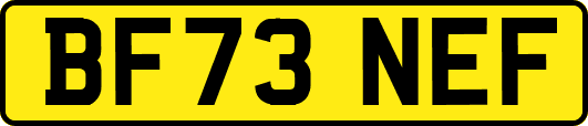 BF73NEF