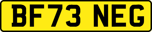 BF73NEG